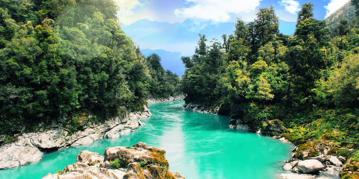 保护大自然背景图片大全 保护大自然背景素材下载 熊猫办公 保护大自然背景图片大全 保护大自然背景素材下载 熊猫办公