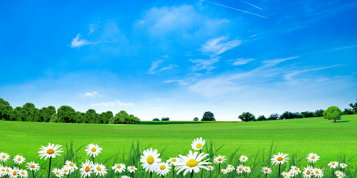 清新天空草地背景