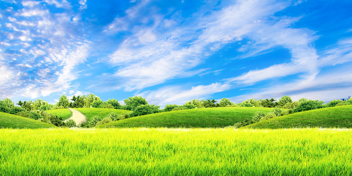 图库>草地>创意蓝天白云草地背景> 分类 ppt模板 word模板 excel表格