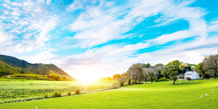 绿色清新风景背景图背景图片素材免费下载_熊猫办公