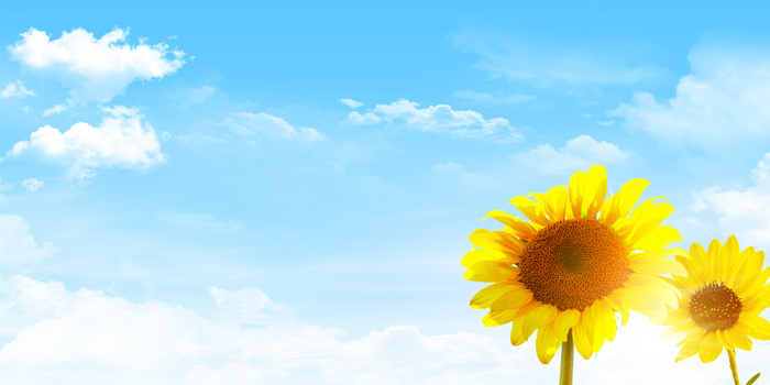 阳光明媚幻灯片背景