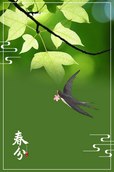 春天燕子背景图片大全_春天燕子背景素材下载_熊猫办公