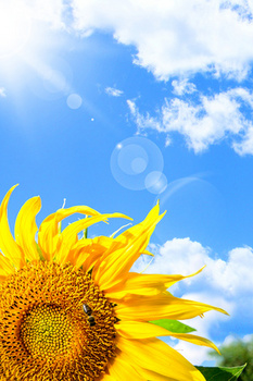 羽毛球体育运动摄影合成背景背景图片素材免费下载_熊猫办公