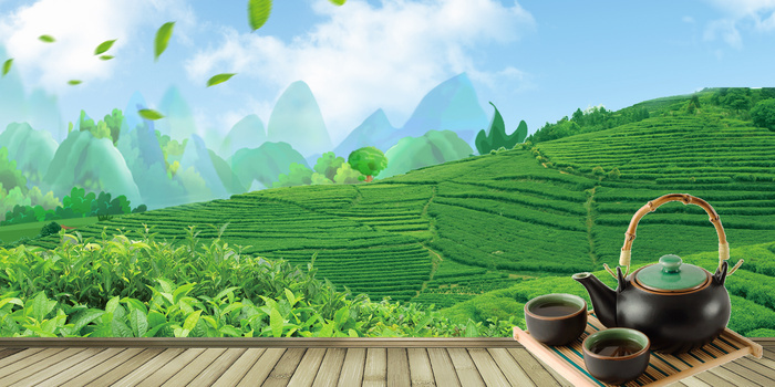 清新茶园摄影合成背景