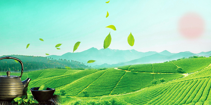 清新茶山摄影合成背景