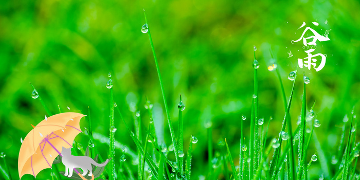 小雨滴背景图片大全 小雨滴背景素材下载 熊猫办公