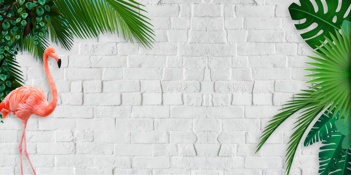 文艺清新热带绿植ins风背景