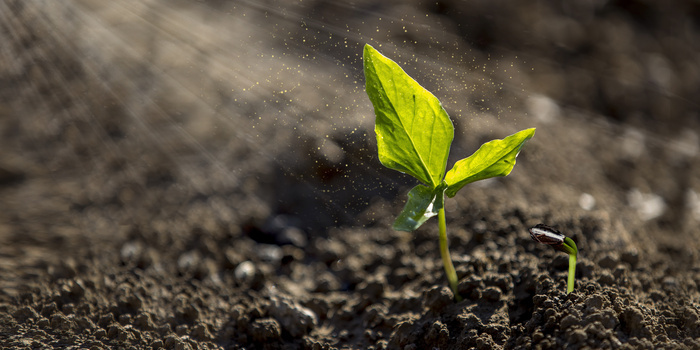 希望阳光背景图片大全 希望阳光背景素材下载 熊猫办公
