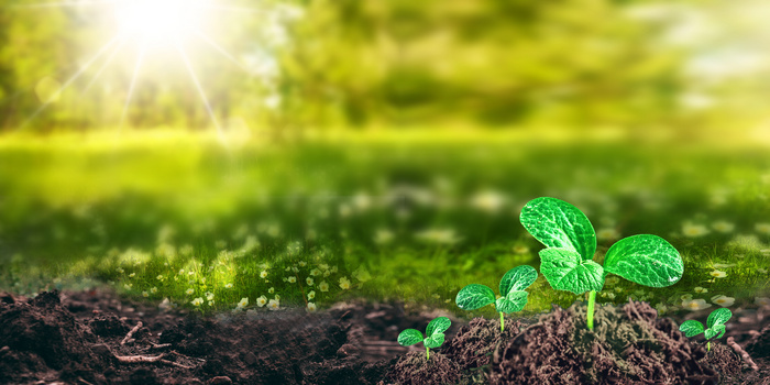 萌芽万物生长新希望正能量背景