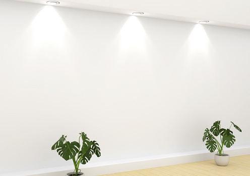 简约清新立体c4d绿植形象墙侧面视角背景