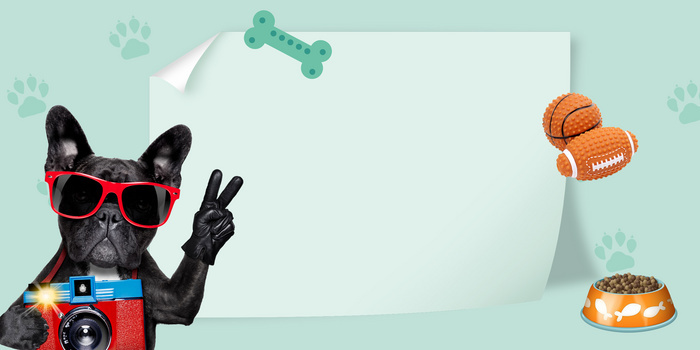 可爱小狗背景图片大全 可爱小狗背景素材下载 熊猫办公