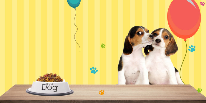 卡通狗狗背景图片大全 卡通狗狗背景素材下载 熊猫办公