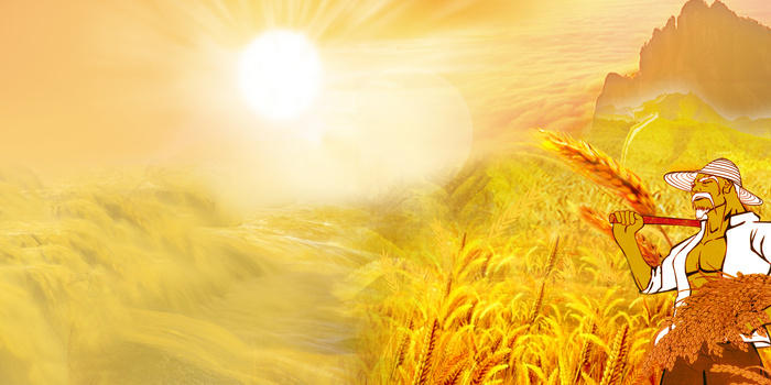 黄色大气简约风秋日农民丰收背景