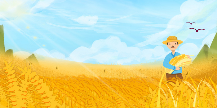 稻香成熟水稻小麦创意合成背景