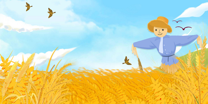 7087 x 10630格式: psdjpgpsd橙黄卡通合成稻香田野背景像素:4724 x