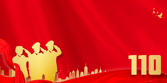 公安110剪影党政背景