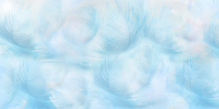 梦幻浪漫质感蓝色纯洁羽毛背景