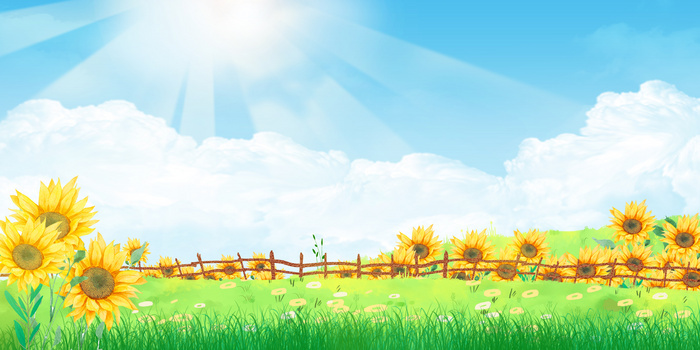 手绘插画风蓝天白云向日葵花田背景