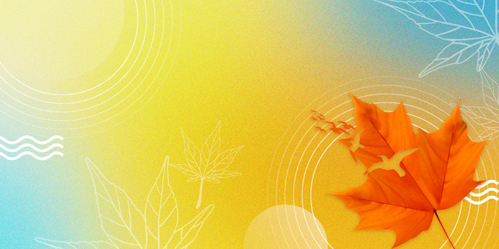 秋日背景图片大全 秋日背景素材下载 熊猫办公