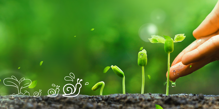 种子发芽创意摄影涂鸦手绘背景