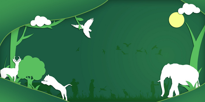 绿色简约国际珍稀动物保护日剪影背景