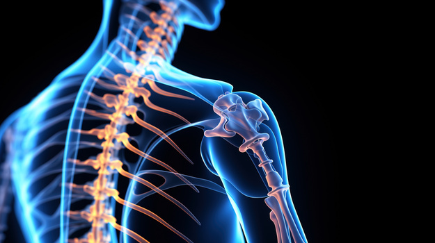 骨骼健康背景图片大全_骨骼健康背景素材下载_熊猫办公