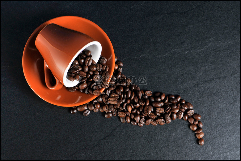 豆 酿造 咖啡因