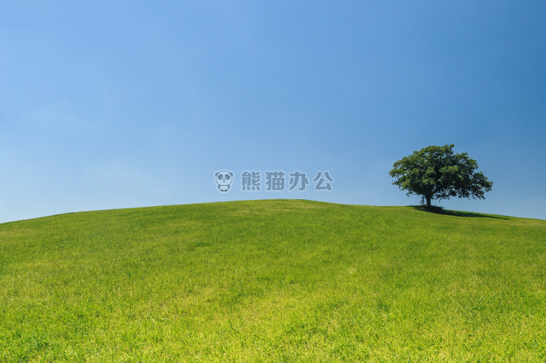 生态的 绿色 小山