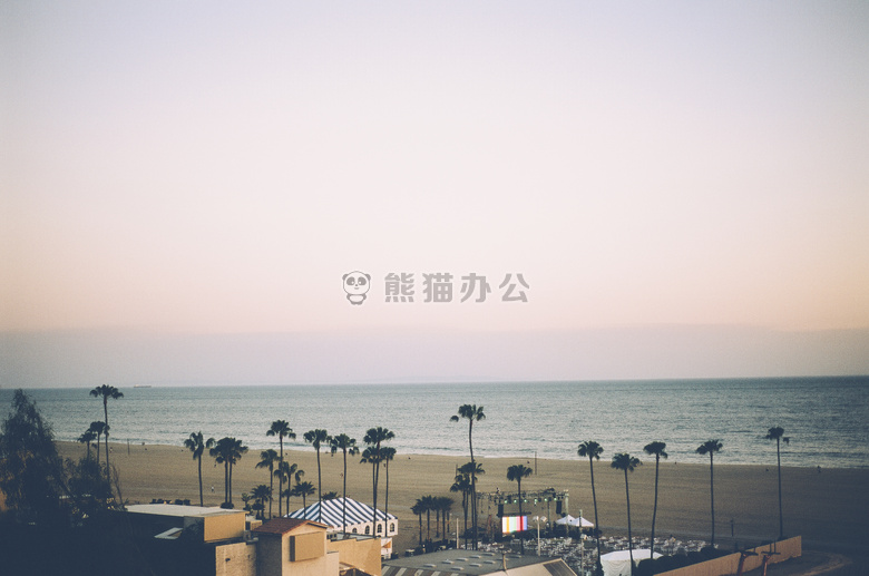 海滩 棕榈树 海