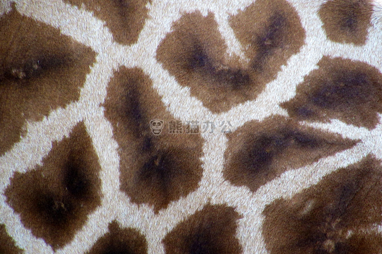 地毯 毛皮 长颈鹿