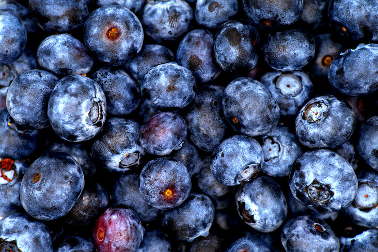 大颗蓝莓浆果图片