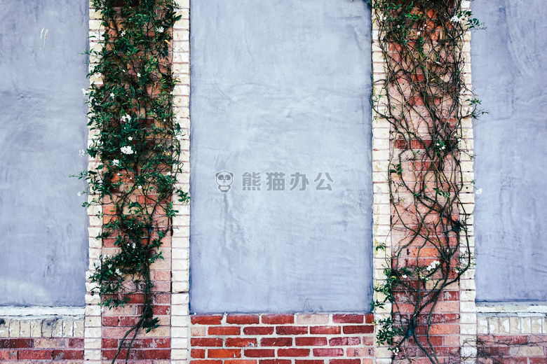 砖 攀登 植物