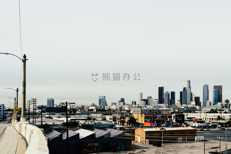 城市 洛杉矶 天使