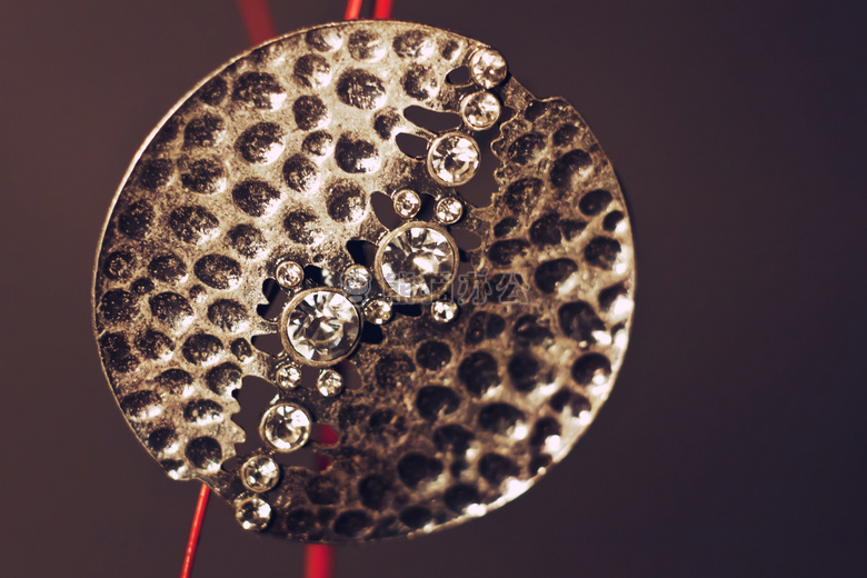 摘要 艺术 生物学