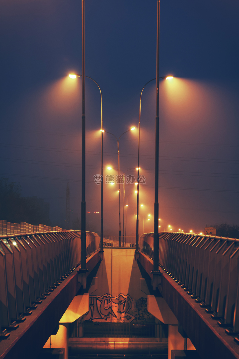 桥 路灯柱 灯