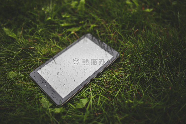 草 草坪 雨