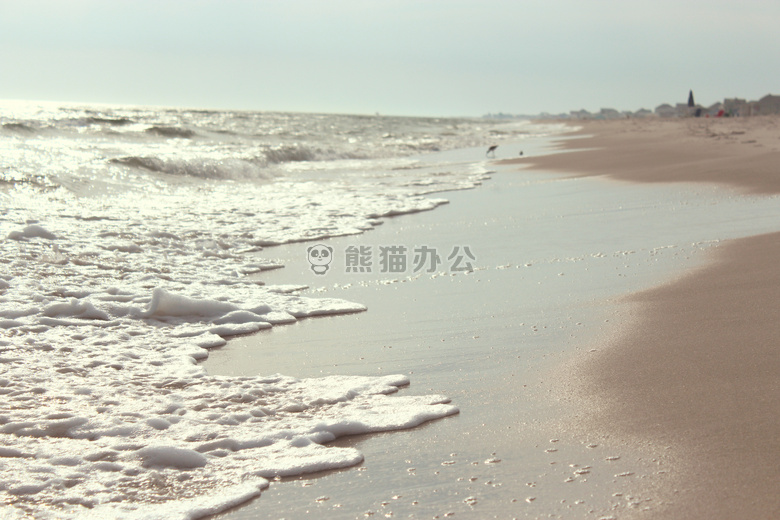 海滩 假日 海洋