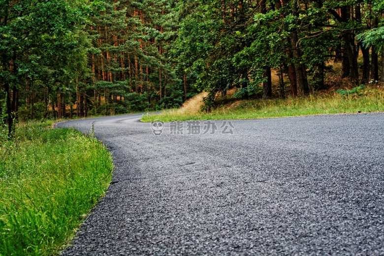 傍晚 森林 路