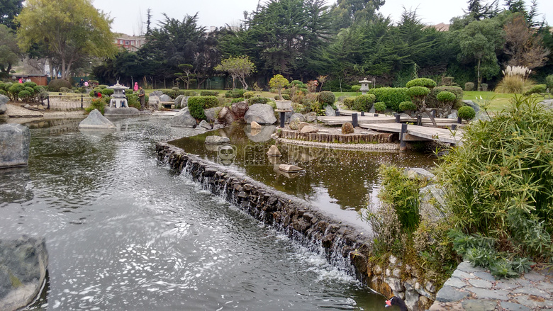 花园 日本人 水