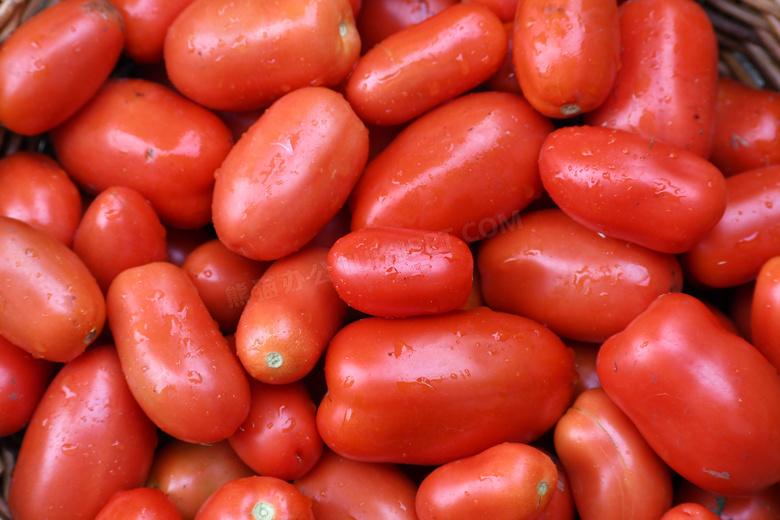 新鲜红色小番茄图片