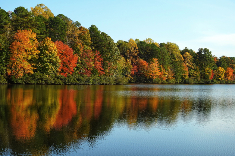 秋季湖泊树木景观图片