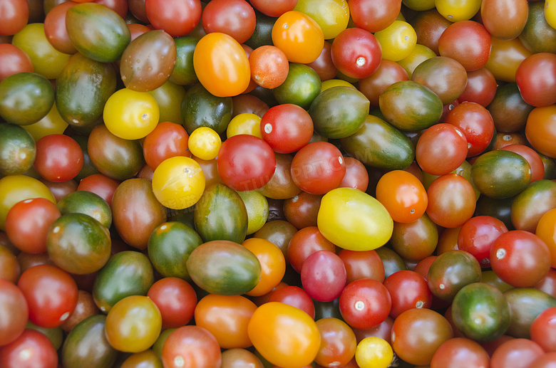 色彩缤纷的小番茄图片
