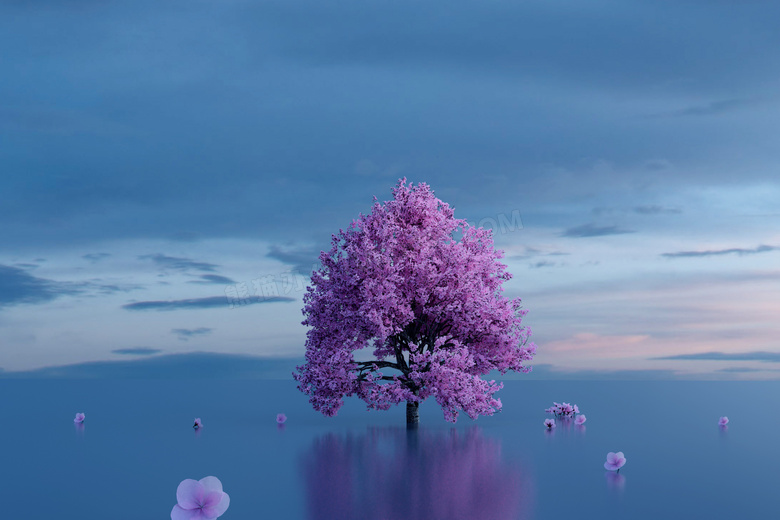紫色树木唯美意境图片