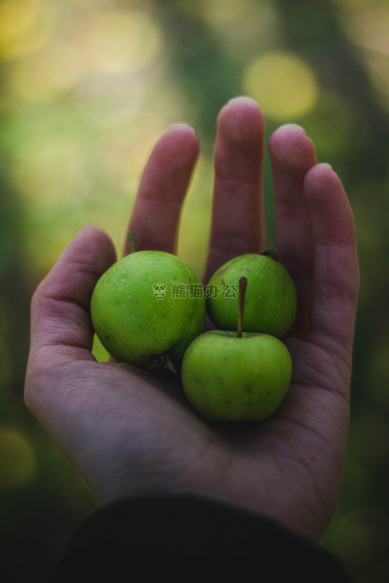苹果 水果 手