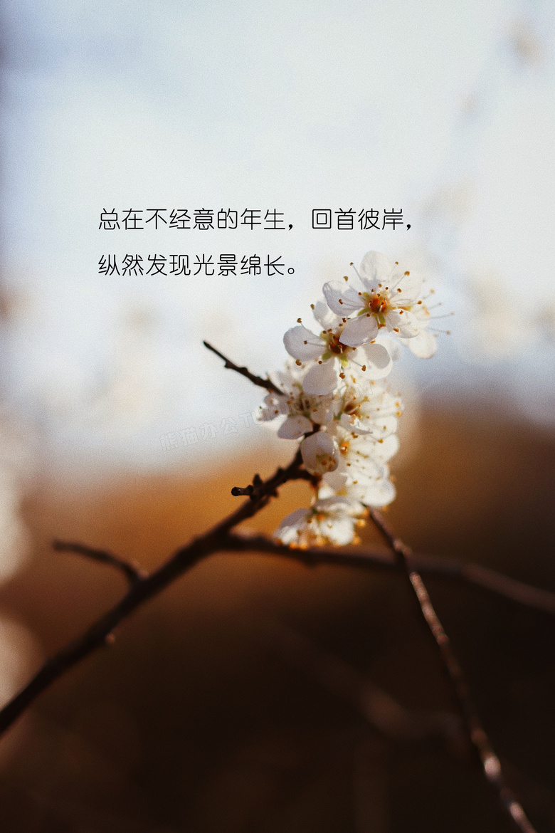 非主流鲜花唯美带字图片