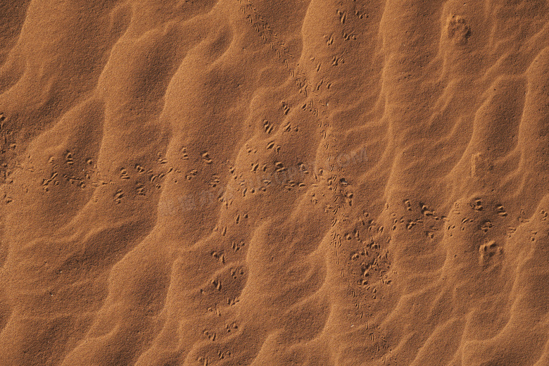 荒漠黄沙背景图片