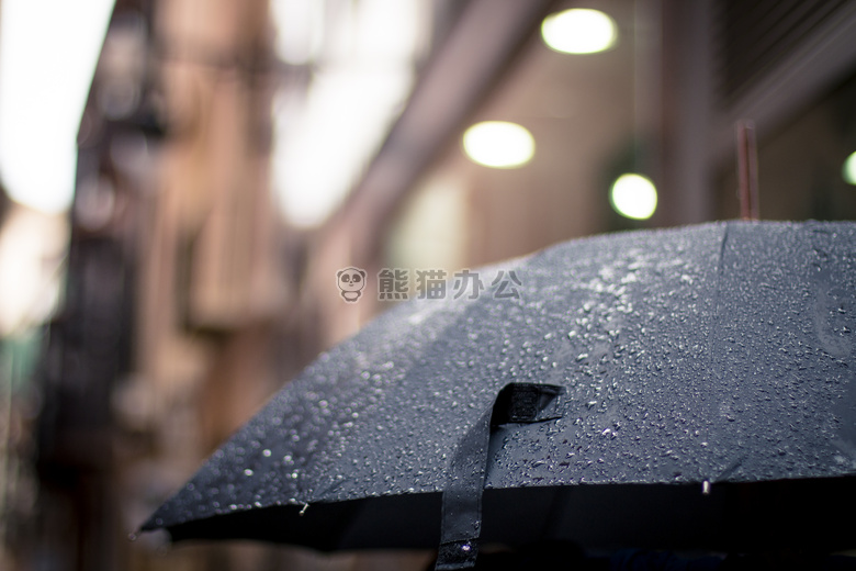 雨 多雨的 雨伞