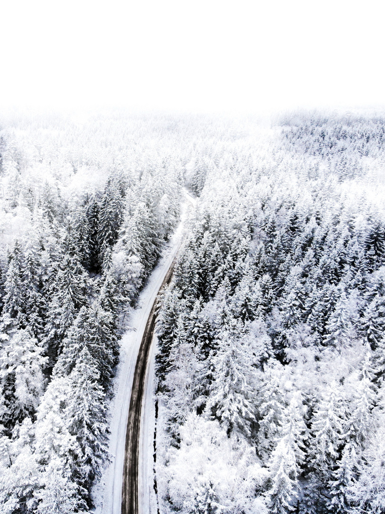 冬季白雪树林风景图片