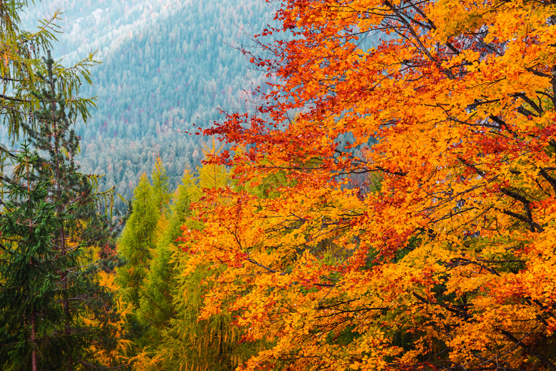 唯美秋季风景壁纸图片