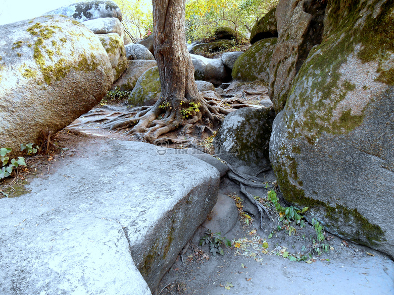 自然 公园 岩石